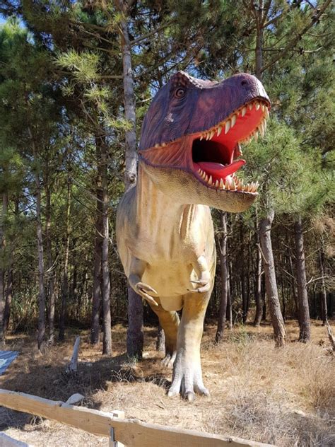 Dino Parque Lourinh M E Do Martim