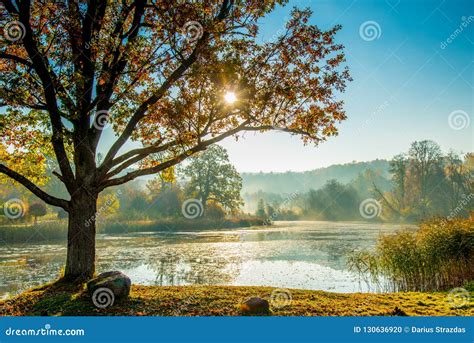 River At Sunrise Misty Fall Morning Stock Photo Image Of Misty