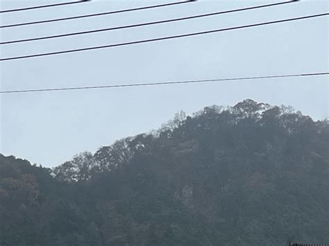 🦏 お疲れ様です。こちらも本日は冷たい雨☔️が降っていますよ〜。｜鉄竜のブログ｜栃木のじじい・・・鉄竜です。宜しくでございます。 みんカラ