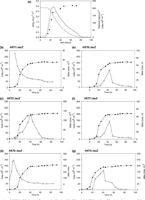 PDF Analysis Of Saccharomyces Cerevisiae Hexose Carrier Expression