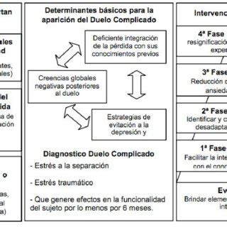 Introducir Imagen Diagnostico Funcional Segun El Modelo Cognitivo