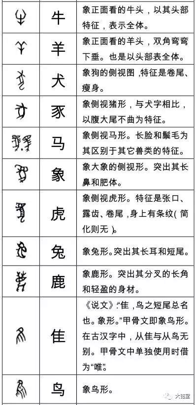 这些甲骨文字你认识多少 象形