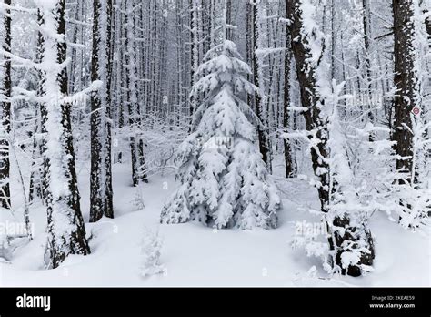 Narnia landscape hi-res stock photography and images - Alamy