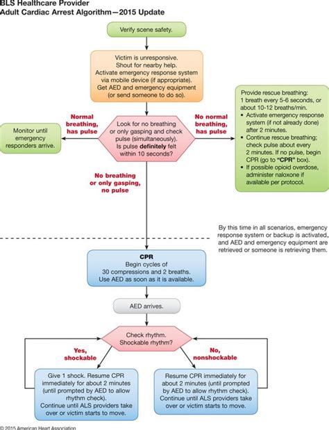 Aha 2015 Adult Bls Algorithm First10em