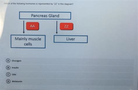 Solved Question 2 Which Of The Following Hormones Is Chegg