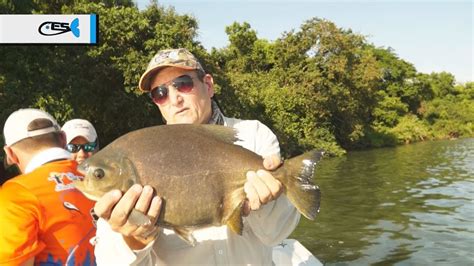 Pesca de pacú dorado y surubí en Ita Ibaté Corrientes El Señuelo77