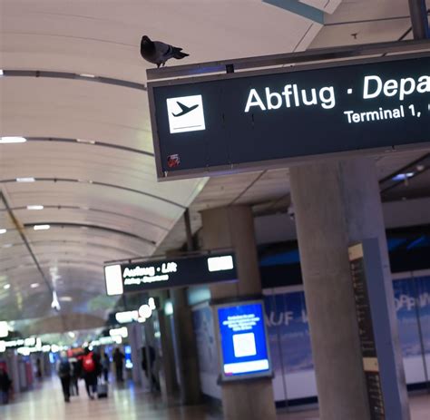 Abfl Ge Am Hamburger Flughafen Fallen Auch Am Freitag Aus Welt