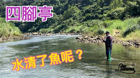 Creek Fishing In Taiwan 就愛基隆河永遠不會打龜 Youtube