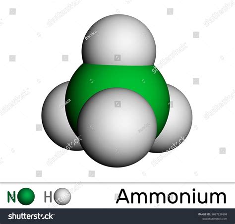 ammonium cation azanium molecule positively charged stock illustration