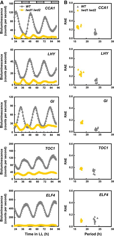 Figure From Light Regulated Wd And Pseudo Response Regulator Form A