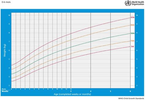 Prise De Poids Bébé Allaité Mois Par Mois World Health Organization