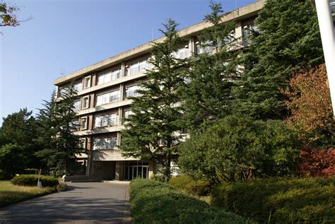 residential district, clear sky, home ownership, house, nature, low angle view, tree ...