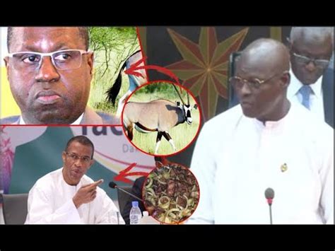 Assemblée Cheikh A Beye Pastef rappelle le scandale des Oryx Même