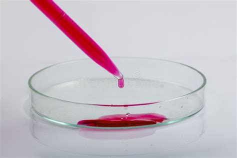 Pipeta De Laboratorio Con Gota De Líquido Rojo Sobre Placas De Petri