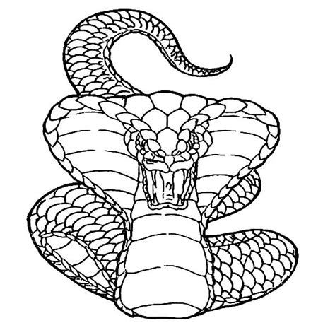 Printable King Cobra Coloring Page