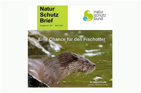 Der Neue Naturschutzbrief Ist Da News Zu Naturschutz Projekten Und