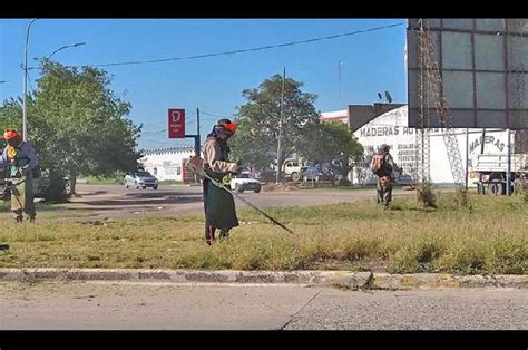 La comuna concretó tareas de desmalezamiento y levantamiento de ramas