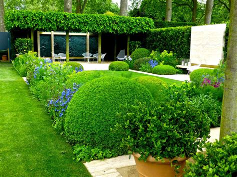 garden layout ideas   yard