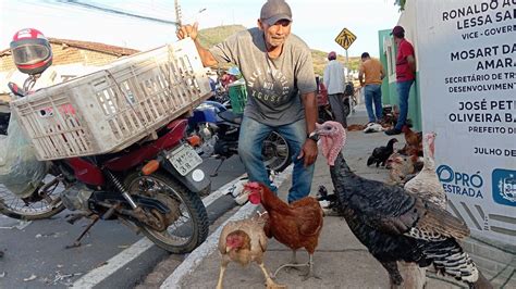 Vanio Das Galinhas Registrando A Feira Muitas Novidades Em Igaci