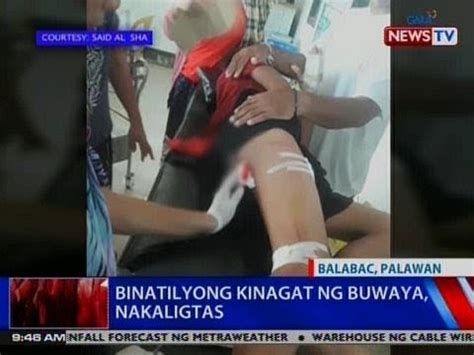 Binatilyong Inatake Ng Buwaya Sa Balabac Palawan Nakaligtas Videos