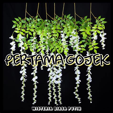 Jual Satuan Wisteria Biasa Plastik Bunga Plastik Daun Plastik Rumput