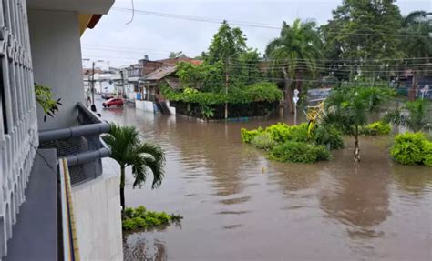 Blu Pacífico On Twitter Veinticuatro Municipios Del Valle Del Cauca