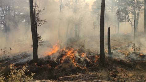 Aumentan Los Incendios Forestales En Hidalgo Con La Llegada De Las