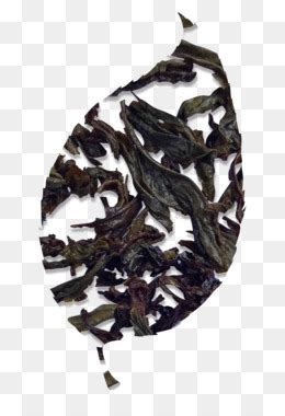 Da Hong Pao Spiselige Alger Rvore Png Transparente Gr Tis