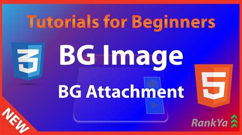 HTML5 And CSS3 Tutorials For Beginners CSS Background Image And