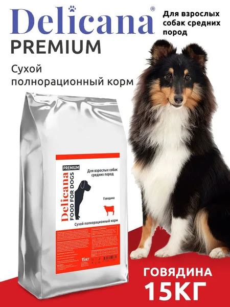 Сухой корм Delicana для взрослых собак средних пород, говядина, 15 кг ...