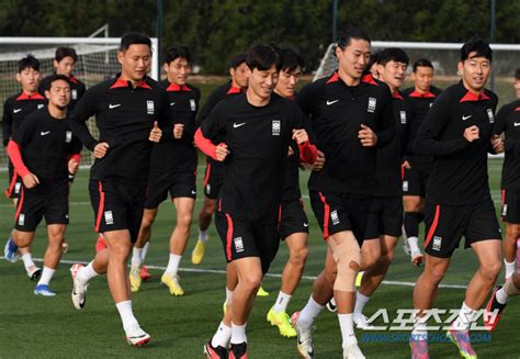 카타르 현장라인업 김민재 대신 정승현 손흥민 황희찬 이강인 요르 스포츠조선