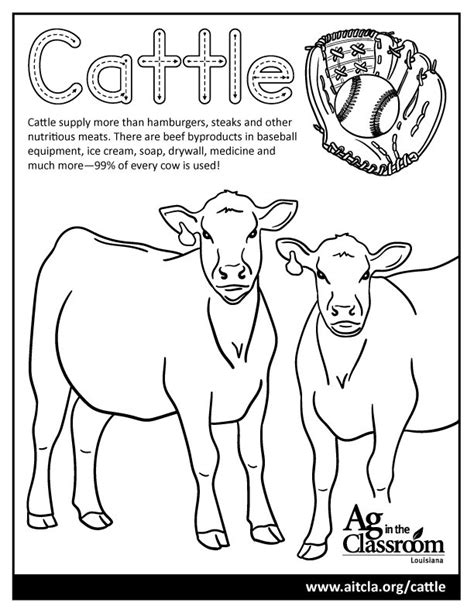 Cattle — Louisiana Ag In The Classroom