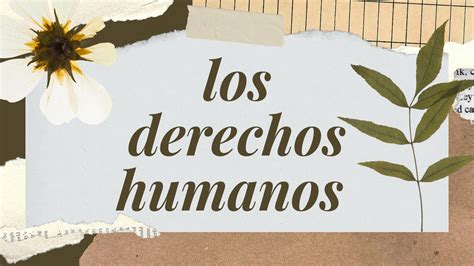 Solution Los Derechos Humanos Studypool