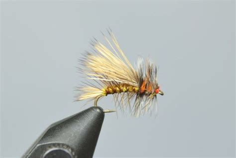 Dry Fly Fishing Basics And The 10 Best Dry Flies Of All Time Wet Fly