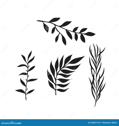 Hand Drawn Tree Branches With Leaves Set Stock Vector Illustration Of