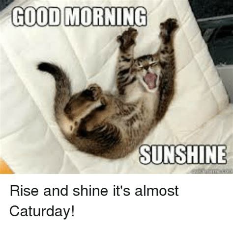 Good morning sunshine Memes