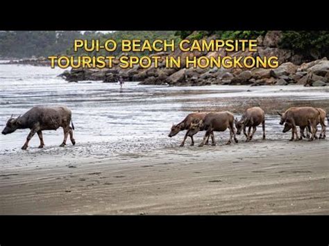 PUI O BEACH CAMPSITE TOURIST SPOT In Hongkong How To Get Their YouTube