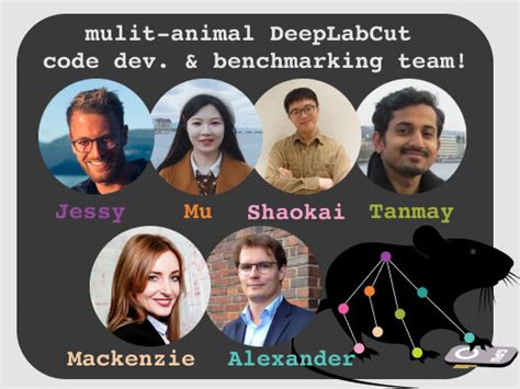 Multi Animal Deeplabcut — The Mathis Lab Of Adaptive Intelligence