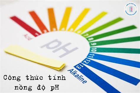 Công thức tính pH trong các trường hợp và công cụ đo pH Điện tử sáng