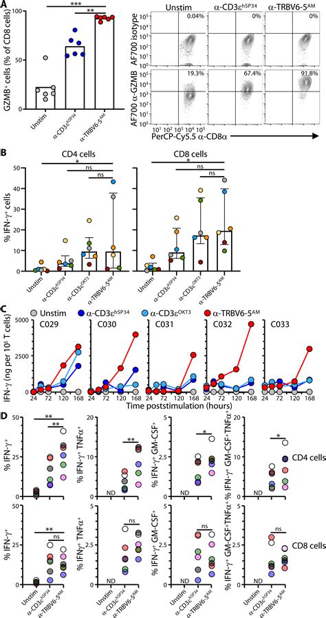 Innate Tcrβ Chain Engagement Drives Human T Cells Toward Distinct