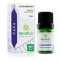 Óleo Essencial Cardamomo Terraflor 5ml R 110 em São Bernardo do Campo