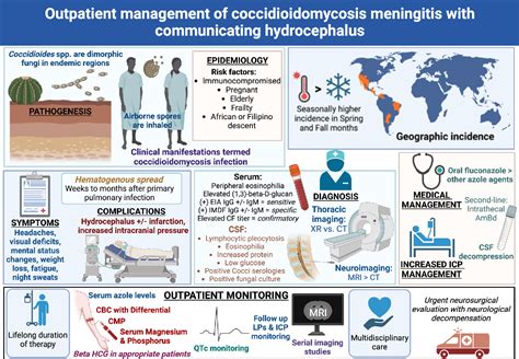 Figure 3 from Non-shunt Management of Communicating Hydrocephalus in an Immunocompetent Host ...