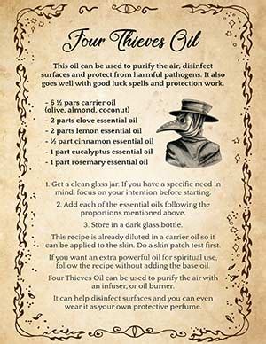 Four Thieves Cleaner Recipe Besto Blog