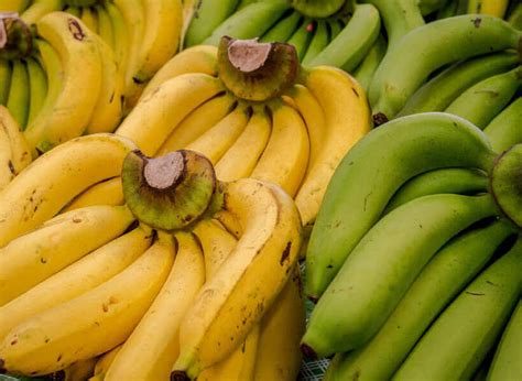 Dibalik Warna Kuning Segar Berikut 8 Manfaat Pisang Ambon Untuk Kesehatan