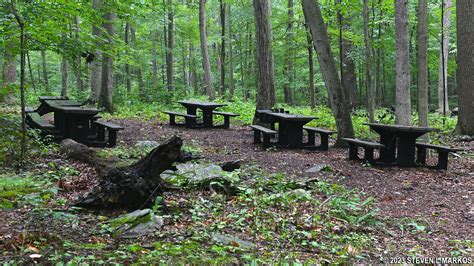 Catoctin Mountain Park | OWENS CREEK PICNIC AREA