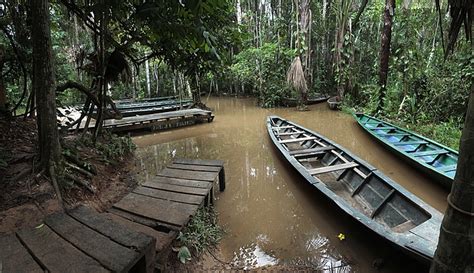 Peruvian Amazon Nature Tour, The Amazon | kimkim