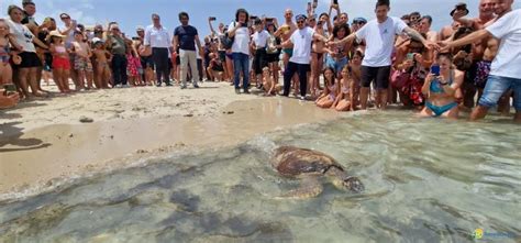 Legambiente Premia Torre Guaceto Area Protetta Per Tartarughe Marine