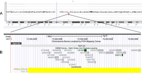 Array Comparative Genomic Hybridization (Array CGH) for Detection of ...