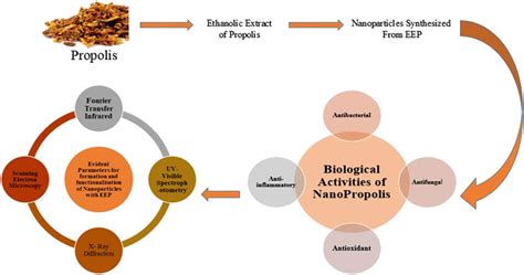 Green Synthesis Of Nano Propolis And Nanoparticles Se And Ag From