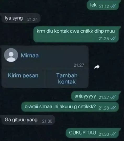 Awalnya Bikin Panik Chat Ke Pasangan Ini Ending Kocak